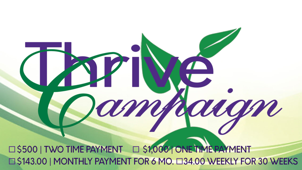 thrive campaign redux thrive campaign redux